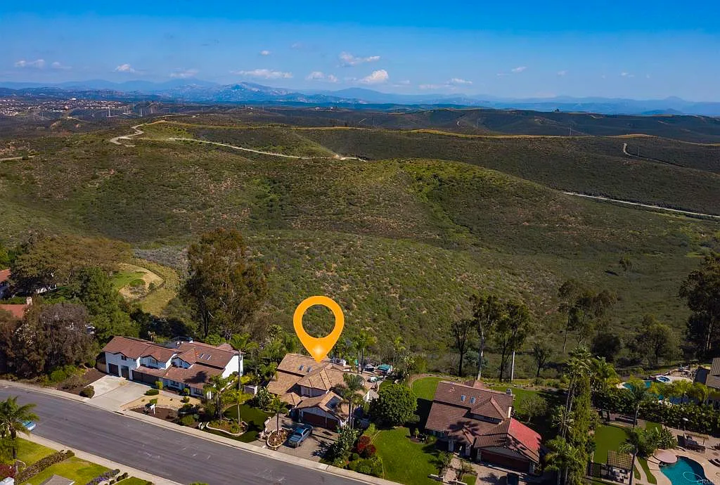 10737 Birch Bluff Ave -61